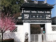 -香雪海