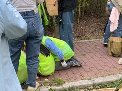 -嘉北郊野公园
