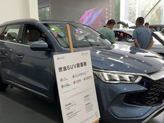 -比亚迪汽车王朝网(北京环耀4S店)