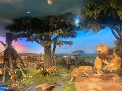 -国家自然博物馆