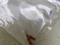 -柏萃动物医院·骨科·牙科