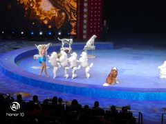 -珠海横琴长隆《卡卡虎奇遇记》