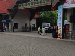 -上海海湾国家森林公园