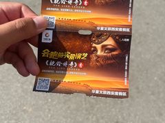 -《驼铃传奇》秀