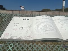 -观潮胜地公园