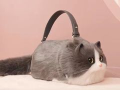 -七浦路服装批发市场