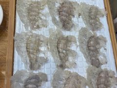 明虾生-官塘鱻鱻鱼生