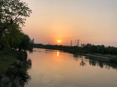 -九里河湿地公园