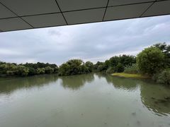 -中国湿地博物馆