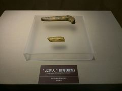 -嘉定博物馆