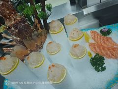 -肥福排档(星光店)