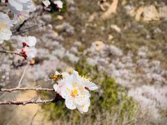-云峰山自然风景区