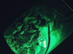 -秃鹫湾·推理大师沉浸式实景演绎推理剧场