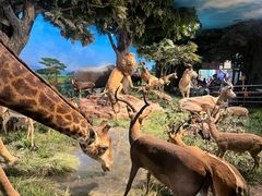 -国家自然博物馆