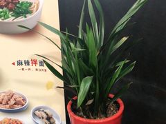 -李先生牛肉面大王(东营凯莱店)