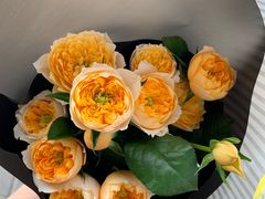 -双季花艺园艺市场(浦东店)