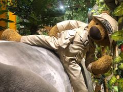 -济州岛泰迪熊博物馆