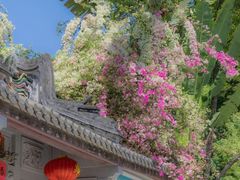 -深圳国际园林花卉博览园