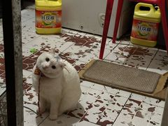-老龙亭拉面店