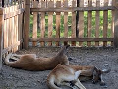 -水上乐园·欢乐世界