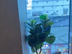 -必胜客(上海新南方商城PH店)