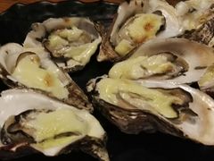 芝士烤蚝-烧蠔帮·湛江生蚝(工农店)