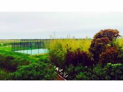 -上海崇明金茂凯悦酒店