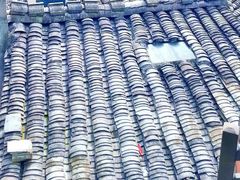 -楠溪江风景名胜区