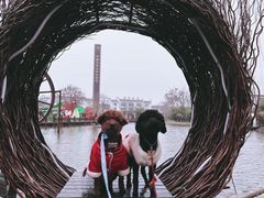 -茯茶镇