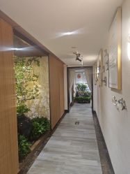 -至爱至信新中式SPA疗愈会所