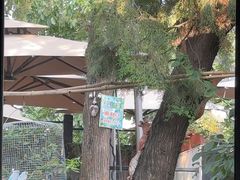 -蘇河湾·新鲁菜·泰山宴(泰山店)