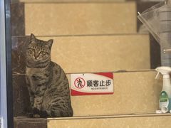 -竹园竹升面(西关总店)