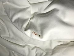 -苏州环秀晓筑养生度假村