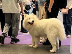 -南宁国际会展中心