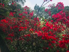 -白云山风景名胜区