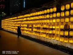 -寻梦滕王阁实景演出