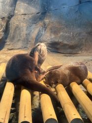 -Zoolung Zoolung动物主题公园(海信广场店)