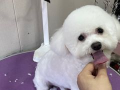 -中农大我爱我爱24h动物医院·中医针灸·猫专科·骨科医疗中心(双井店)
