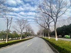 -阳澄湖半岛旅游度假区