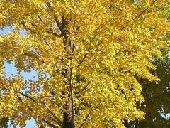 -佩家私房烘焙(宝龙店)