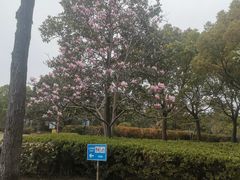-黄兴公园