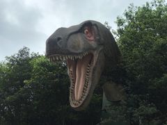 -梦幻奥陶纪景区