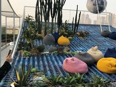 -重庆市江北嘴中央商务区中央公园