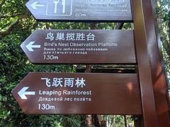 -亚龙湾热带天堂森林公园