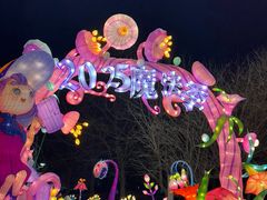 -沈阳奥体冰雪嘉年华
