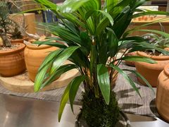 -汝是素(汇一城一区店)