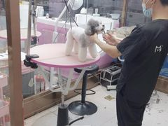 -FAELING PETS美天灵宠物(富力广场店)