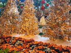 -拉斯维加斯永利酒店