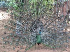 -昆明动物园