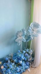 -爱儿宝孕妇儿童亲子摄影(月亮河店)